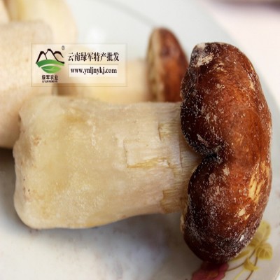 新鲜速冻姬松茸 云南野生菌松茸 速冻巴西菇 产地大货批发图3