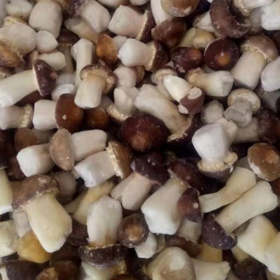 新鲜速冻姬松茸 云南野生菌松茸 速冻巴西菇 产地大货批发图2