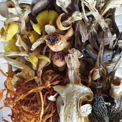 2023年云南特产松茸菌汤包 食用菌煲汤组合食材 火锅店酒店食材图4
