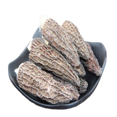 产地批发云南高原剪柄羊肚菌干货 颜色靓肉质厚香味好100克装图4