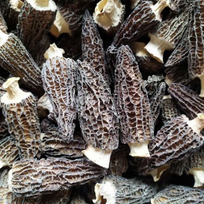 产地批发云南高原剪柄羊肚菌干货 颜色靓肉质厚香味好100克装图3