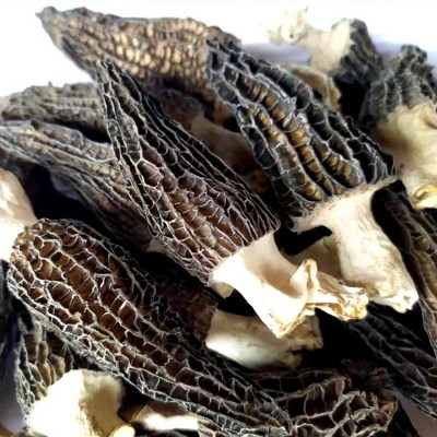 产地批发云南高原剪柄羊肚菌干货 颜色靓肉质厚香味好100克装