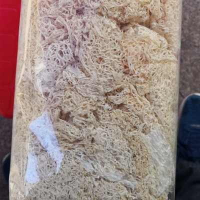 2020竹荪新货250g 散装净重不熏硫 厂家批发食用菌干货竹笙批发图4