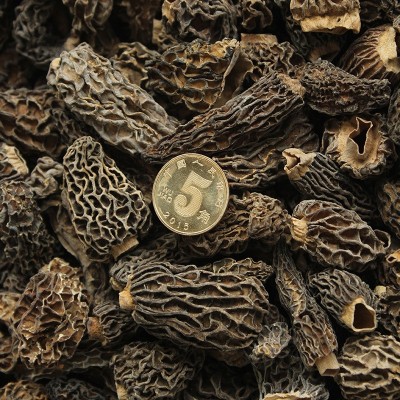 山礼然云南羊肚菌干货 批发汤料食用菌羊肚菌菇整菇 全剪柄羊肚菌图2
