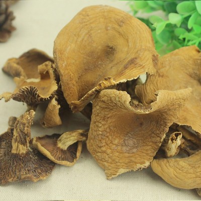 山礼然批发云南奶浆菌 食用菌菇干货 速冻蘑菇干制奶浆菇农产品图4