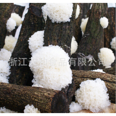 厂家供应80g小包装椴木银耳批发去根原木银耳食用菌礼品土特产图4