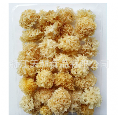 源头厂家供应椴木银耳 批发原木白木耳 食用菌特产图3