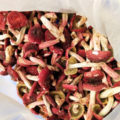 云南大红菇 大红菇 红菇干货 产地直供 食用菌 红菌菇 煲汤图3