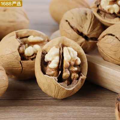 代发纸皮核桃新疆特产一级185核桃零食熬粥煲汤薄皮核桃