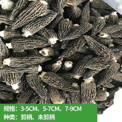 菌菇汤包料食用菌云南特产干羊肚菌5-7CM羊肚菌干货批发500g图2