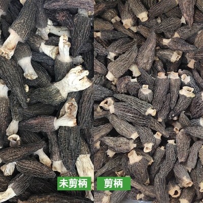 菌菇汤包料食用菌云南特产干羊肚菌5-7CM羊肚菌干货批发500g图4