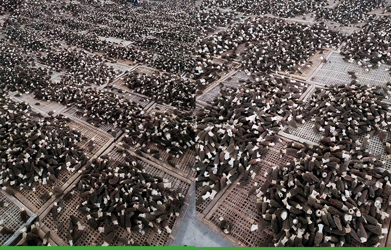 详情页_03.jpg