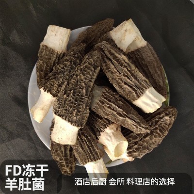 FD冻干羊肚菌云南特产羊肚菌干货礼盒搭配菌汤包材20g羊肚菌批发