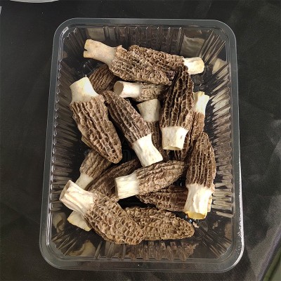 FD冻干羊肚菌云南特产羊肚菌干货礼盒搭配菌汤包材20g羊肚菌批发图4