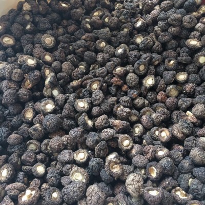 金钱菇干货1.5-2cm 珍珠菇香菇 小香菇冬菇散装厂家批发礼品年货图4