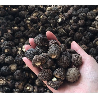 金钱菇干货1.5-2cm 珍珠菇香菇 小香菇冬菇散装厂家批发礼品年货图5