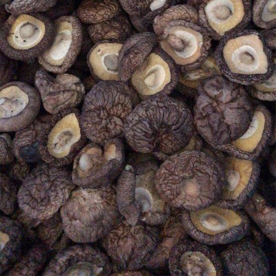 福建香菇干 新货冬菇干货肉厚香菇250g 黑面菇厂家批发图3