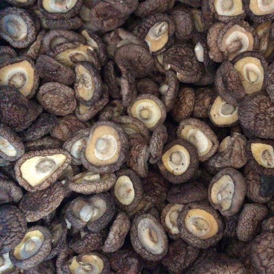福建香菇干 新货冬菇干货肉厚香菇250g 黑面菇厂家批发图5
