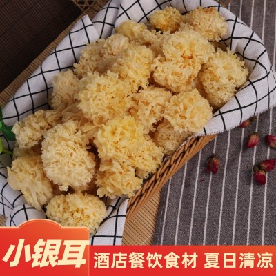 古田特产椴木银耳胶质粘稠度好木耳 椴木银耳食用菌干货 厂家批发