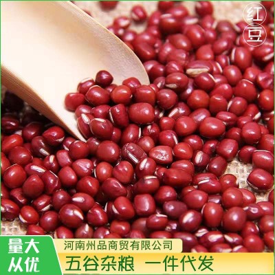 当季新货东北红豆珍珠小赤豆粗粮散装煮粥红小豆大量现货一件代发