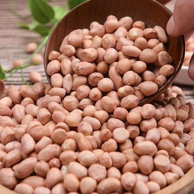 当季新货白沙花生米产地直供正阳大白沙小白沙炸油原料 一件代发图5