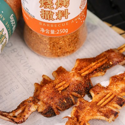 源头厂家批发烧烤撒料 香辣五香家庭装烧烤料 烧烤外撒蘸料烤肉图4