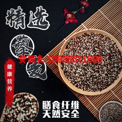 三色藜麦米500g粗粮优质龙芽米南美藜非即食五谷杂粮优质三色藜麦图3