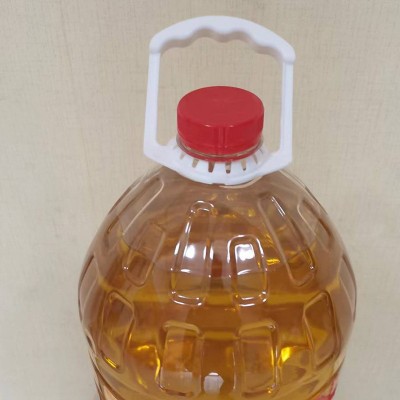 厂家供应现货海皇煎炸王大豆油10L 食用油 超市家用大豆油图3
