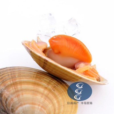 黄贝 文贝 杂色蛤 青柳蛤 蛤喇 蛤蜊 花甲 花蛤 黄蚬子 花蚬子图4