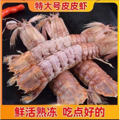 Ⅱ【餐饮供应】皮皮虾鲜活全母带膏冷冻超大虾爬海鲜特大号爬爬虾图3