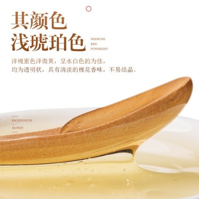鲍记洋槐蜂蜜500克 /厂家直销/批发/招代理网店代发货图2