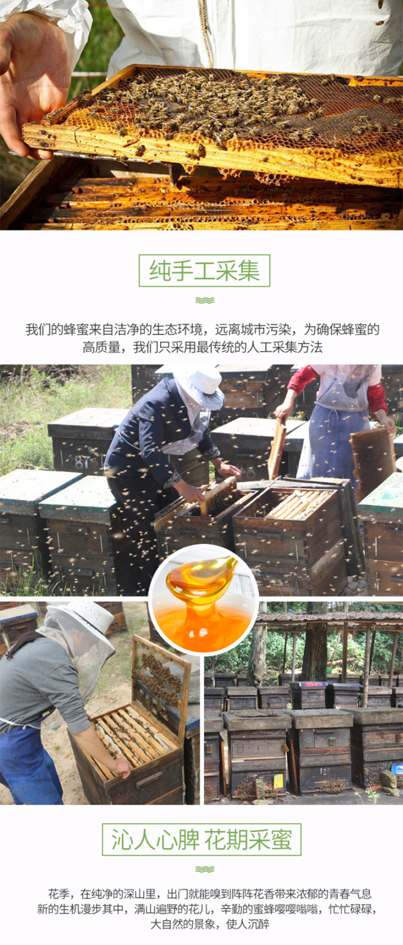 枣花详情_04.jpg