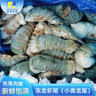 【青龙虾尾】进口冷冻家庭聚餐小青龙 商用新鲜速冻肉满鲜嫩虾尾图4
