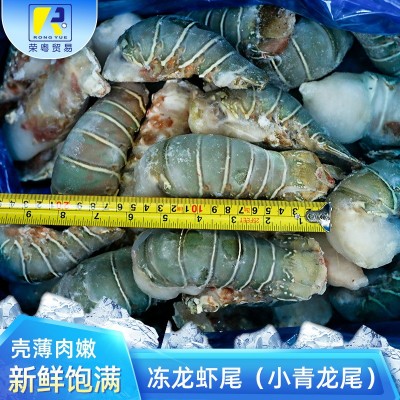 【青龙虾尾】进口冷冻家庭聚餐小青龙 商用新鲜速冻肉满鲜嫩虾尾图3