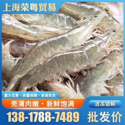 冷冻南美秘鲁白虾鲜活超大白虾 鲜虾冷冻海鲜水产餐厅海鲜商用