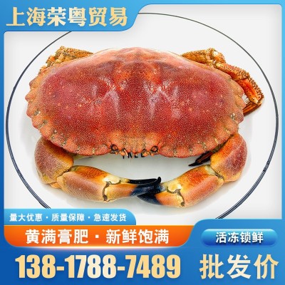 英国面包蟹冷冻超大黄道蟹 爱尔兰黄金蟹海鲜水产肉质丰满膏蟹图2