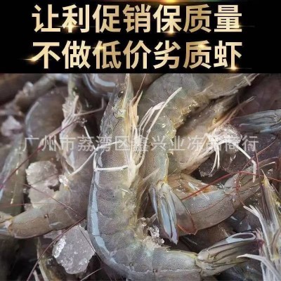 欧玛莎水冻30/40白虾 厄瓜多尔特大白对虾大虾鲜活海鲜水产2kg/盒图4