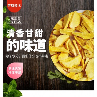 厂家直销 芒果干 500g 批发 即食零食 休闲 芒果片 果铺 芒果干图2