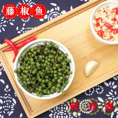 四川鲜藤椒新鲜青花椒重庆江津现摘保鲜九叶青真空绿麻椒350克图2