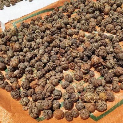 广西玉林草豆蔻大草蔻新货上市个头均匀香味足色泽好看量大质优图2