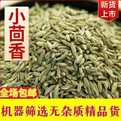 甘肃今年小回香小茴香包邮500g调料批发商用种籽籽种菜籽今年新货图2
