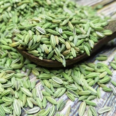 甘肃今年小回香小茴香包邮500g调料批发商用种籽籽种菜籽今年新货