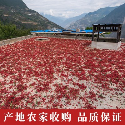 花椒批发四川土特产新货红花椒散装茂汶大红袍汉源花椒粒包邮图4