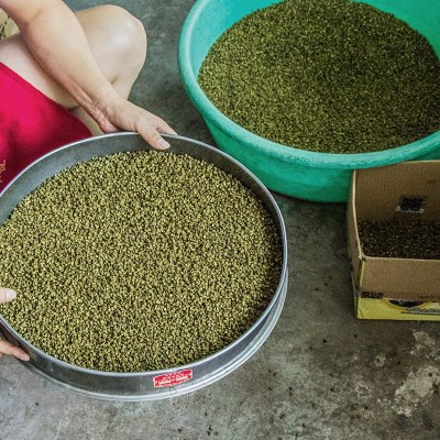 好麻椒重庆青花椒花椒粒青麻椒免费打粉产地发货量大价优包邮图4