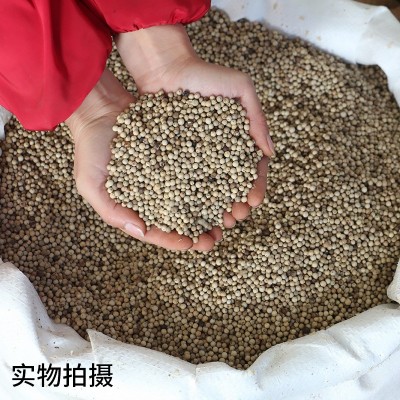 包邮海南特产白胡椒粒500g白胡椒子颗粒可打散粉调料香料商用家用图3