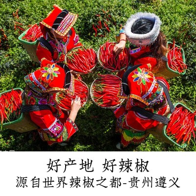 干辣椒圈贵州特产辣椒节香辣干货炒菜辣椒调味品商用家用微辣长椒图3