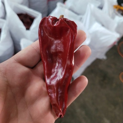 现货红不辣益都红辣椒北京红新疆板椒干辣椒红油专用大量批发图2