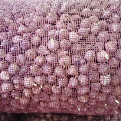 农家紫皮独头蒜辛辣味独头蒜新鲜紫蒜独蒜散装大蒜干蒜调料批发图3