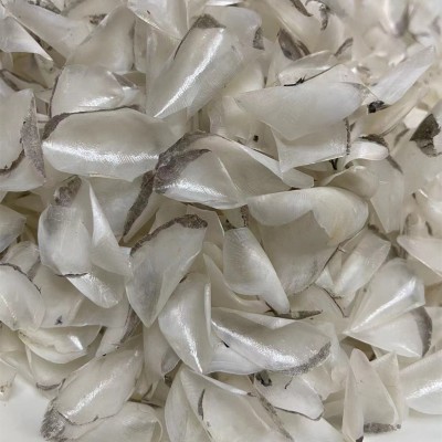 鳘鱼鳞 海鲜干货 晒干鱼鳞，米鱼鳞 海鱼鳞 大鱼鳞，500克图2