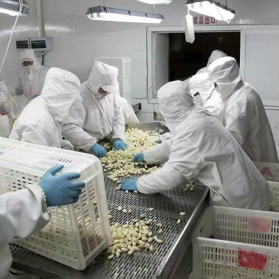 保鲜蒜米产地供应颗大饱满速冻蒜米白皮大蒜去皮保鲜食材现货批发图5